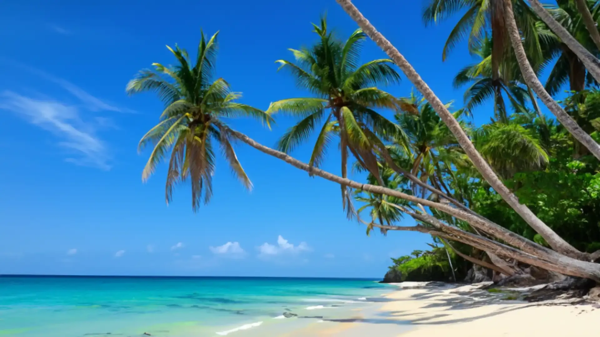 guia-para-disfrutar-al-maximo-de-la-playita