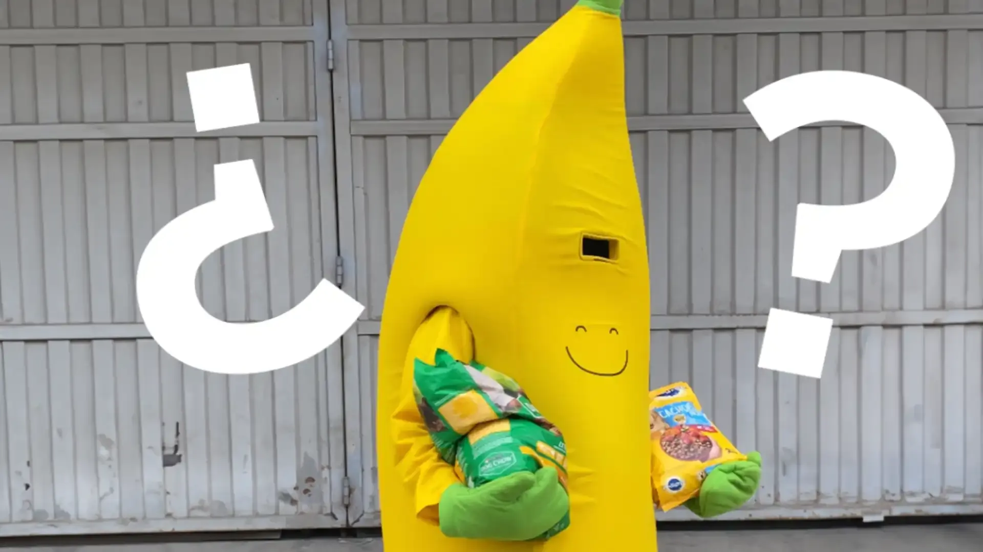 el-enigma-de-platanin-La-mayor-incognita-de-platanitos