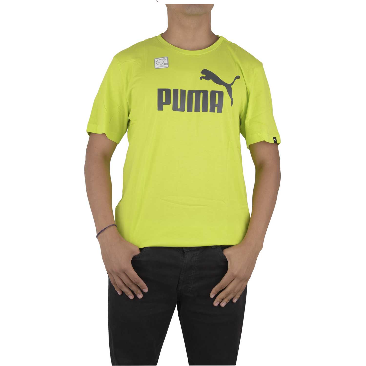puma amarillo hombre puma amarillo hombre