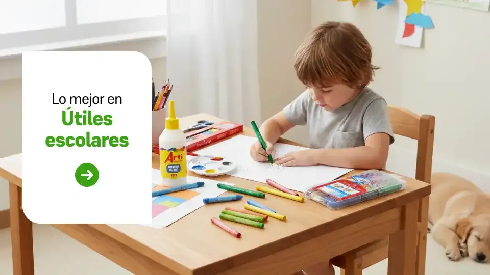 Categoría bodegon 1.2